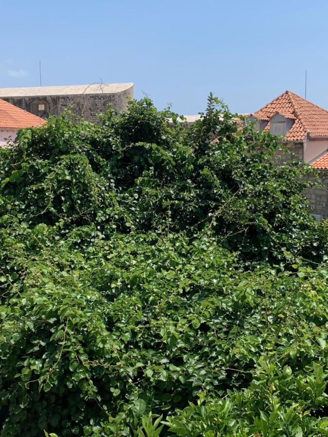 Apartman Lucic C Dubrovnik Exterior foto